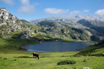 Picos de Europa National Park
